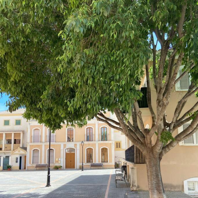 Apartamento Mediterraneo Entre Vinedos Jesus Pobre Exteriör bild