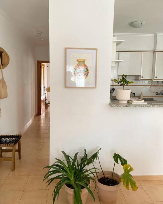 Apartamento Mediterraneo Entre Vinedos Jesus Pobre Exteriör bild