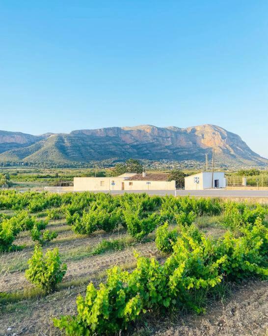 Apartamento Mediterraneo Entre Vinedos Jesus Pobre Exteriör bild
